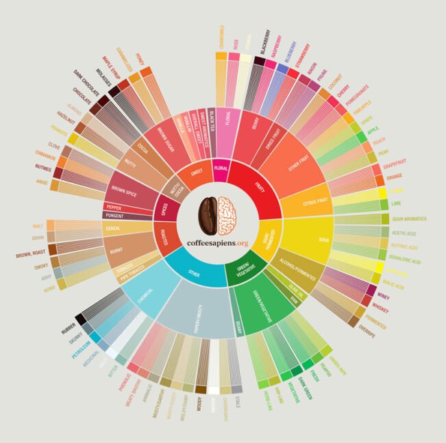 Rueda De Cafe Coffee Sapiens