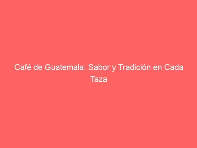 Cafe De Guatemala Sabor Y Tradicion En Cada Taza 568