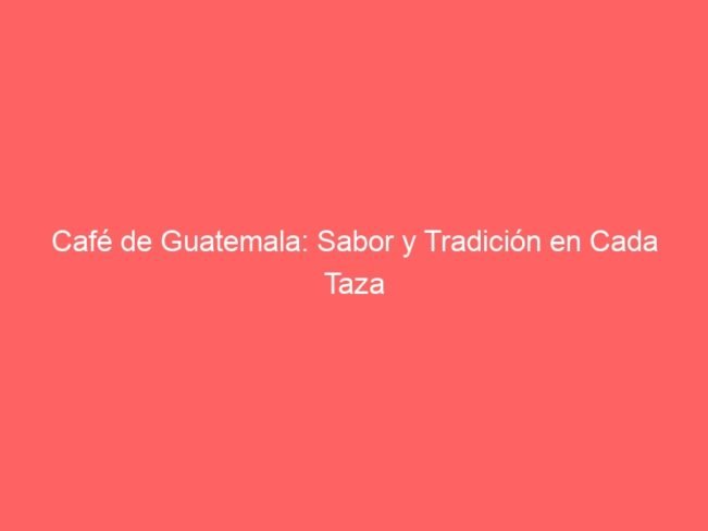 Cafe De Guatemala Sabor Y Tradicion En Cada Taza 568
