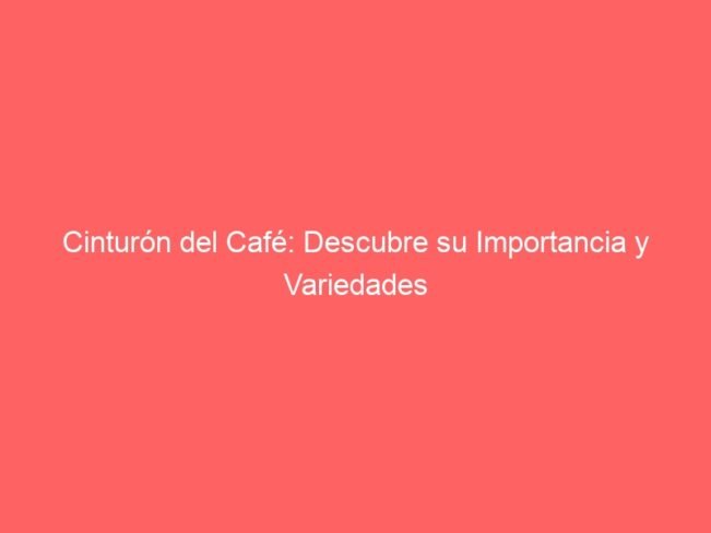 Cinturon Del Cafe Descubre Su Importancia Y Variedades 226