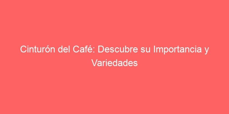Cinturon Del Cafe Descubre Su Importancia Y Variedades 226