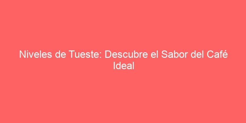 Niveles De Tueste Descubre El Sabor Del Cafe Ideal 208