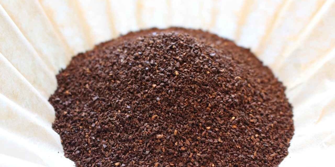 Punto De Molido Del Cafe Punto De Molido Del Cafe