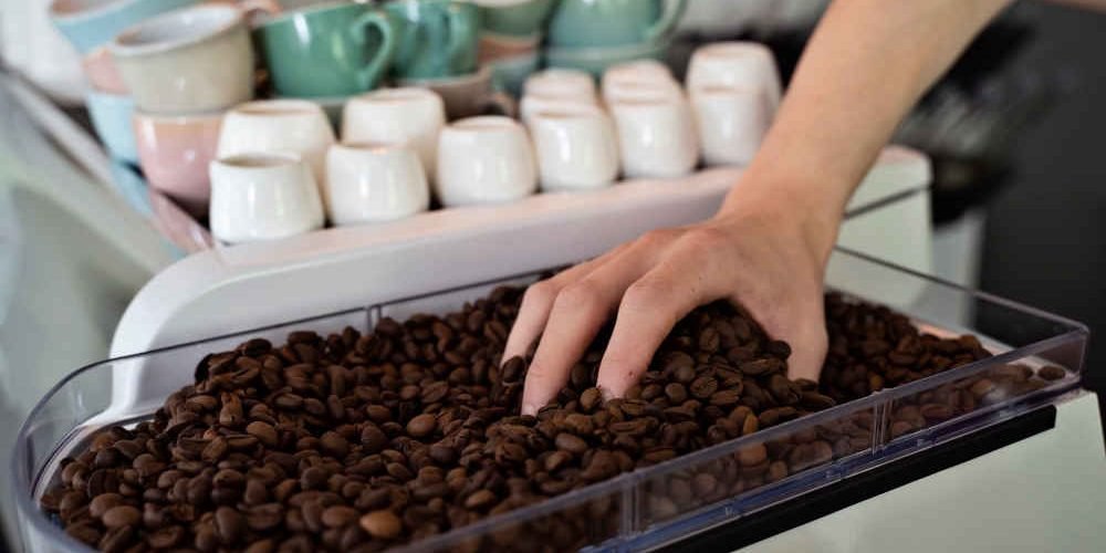 Congelar Los Granos De Cafe Congelar Los Granos De Cafe