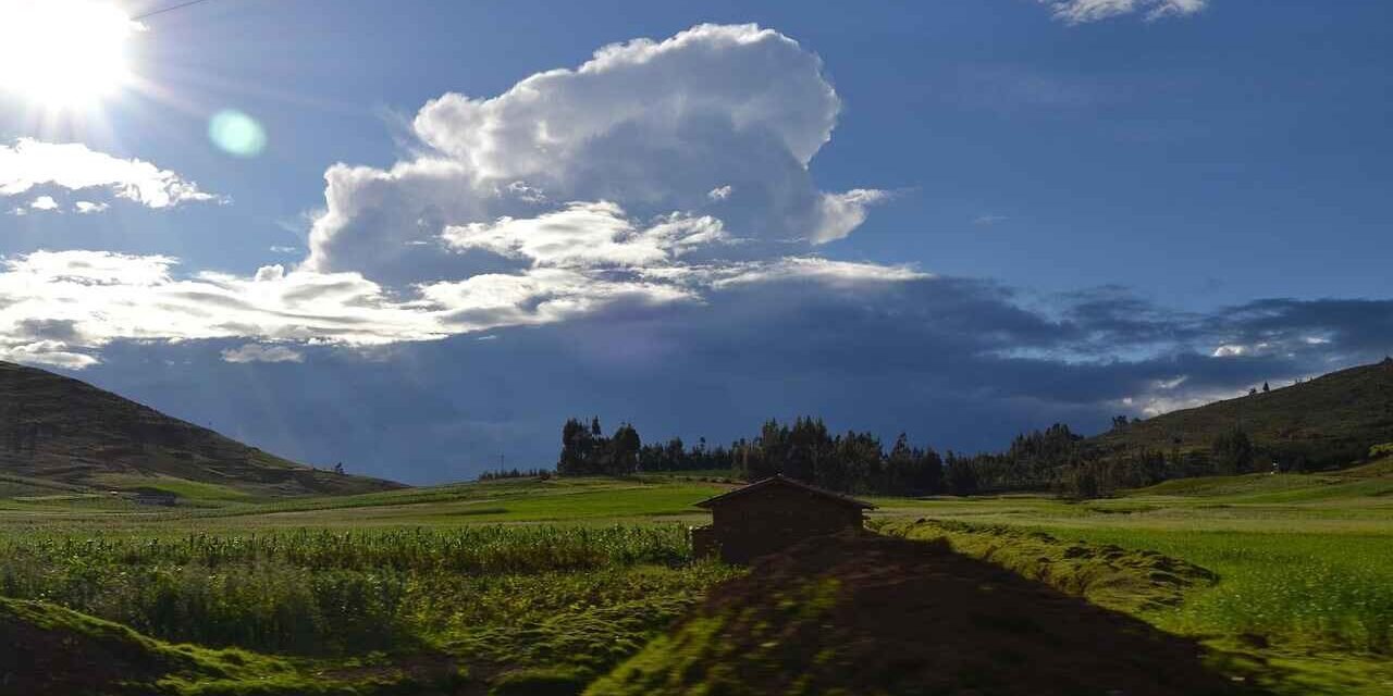 Cafe De Peru Cajamarca