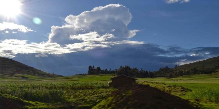 Cafe De Peru Cajamarca