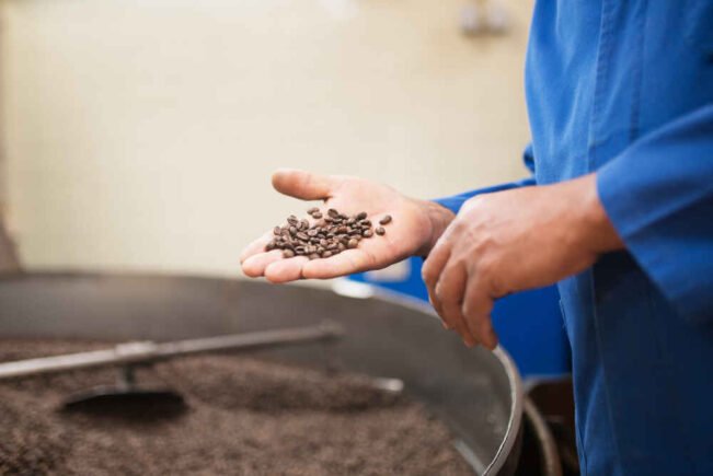 Tiempo De Desarrollo En El Tueste, Development Time Ratio Dtr