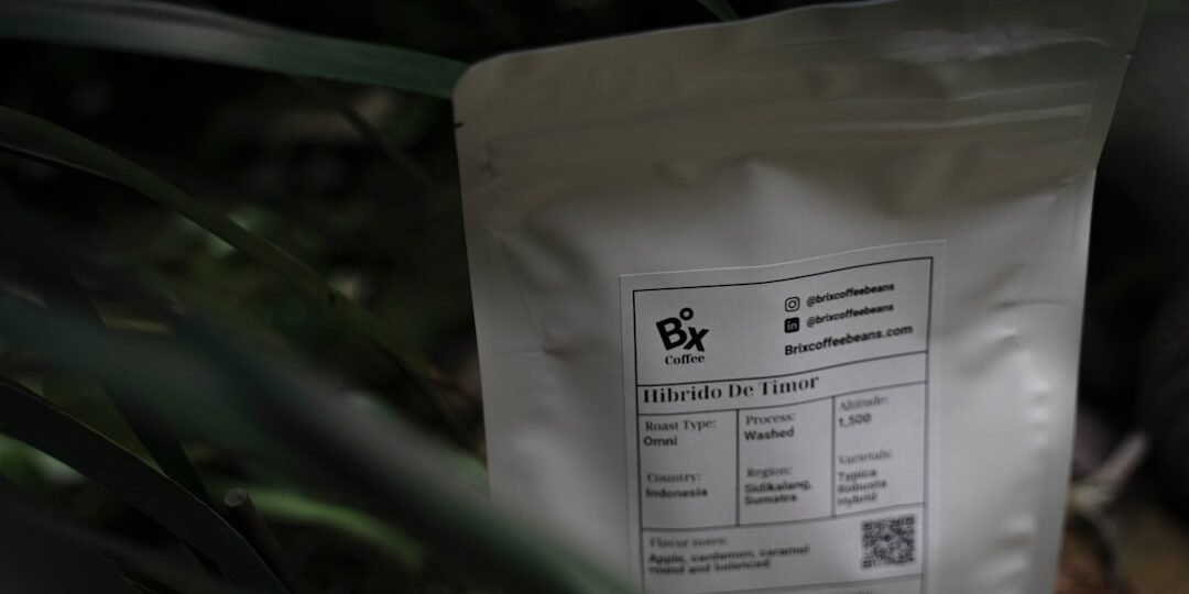 Tipos De Granos De Café, Guía Completa