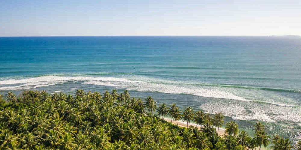 Cafe Isla Santa Elena Cafe Isla Santa Elena