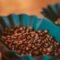 Coffee Filtrar Sin Imagen.item .json .id 1 4