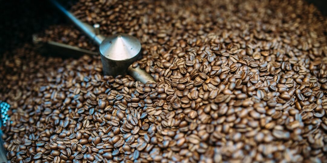 Café de Brasil IPR 100 y Red Catuai natural