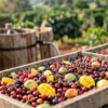Cafés cofermentados con frutas