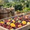 Cafés cofermentados con frutas