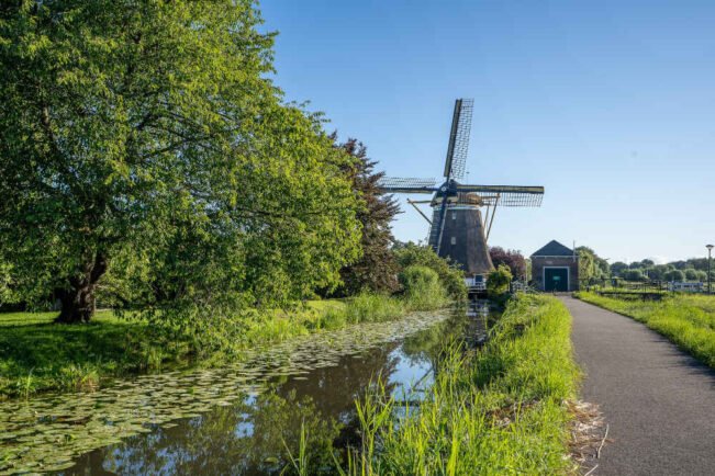 Consumo De Cafe En Holanda En 1909