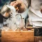 My Coffee Awards 2026 En Barcelona